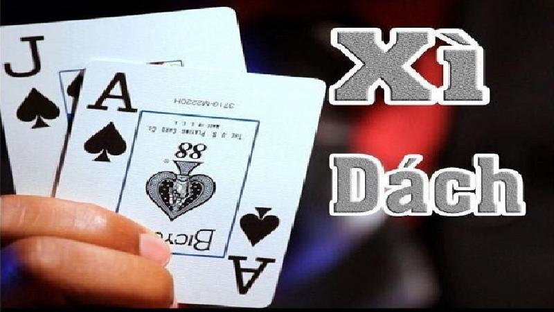 bai xi dach 3 Hướng dẫn tổng quan về cách chơi bài Xì dách chuẩn xác