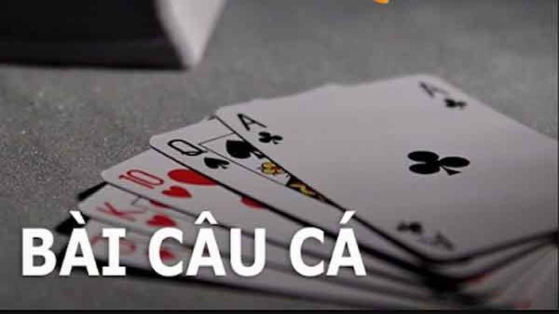 cach choi bai cau ca 4 Một số quy tắc chơi bài câu cá đặc biệt mà bet thủ cần biết